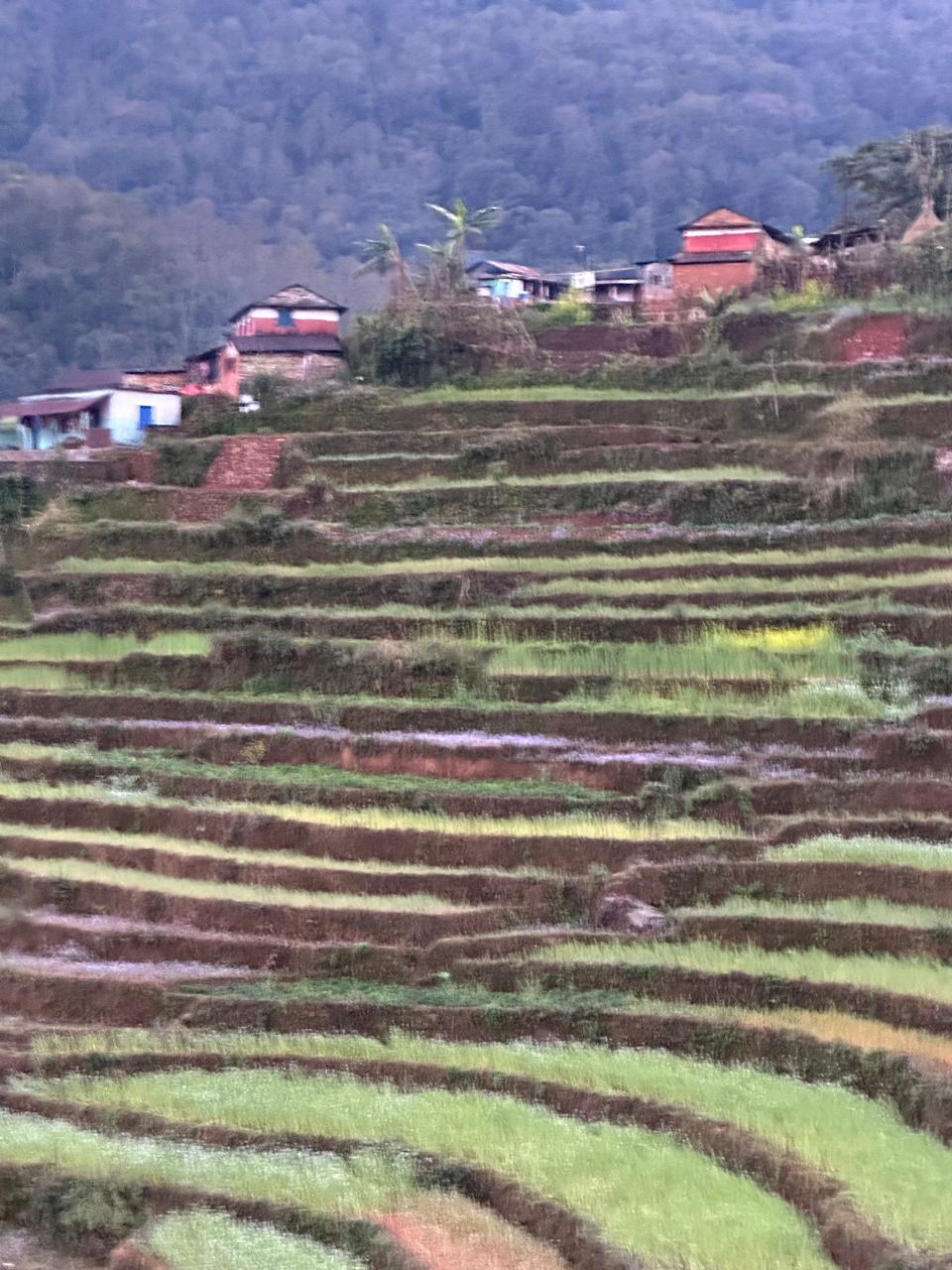 Hikes, Walks & Himalayan Escapes